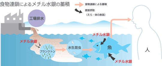 四 大 公害 病